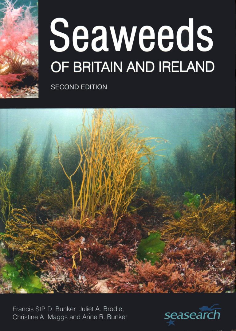 Biology seaweed coursework 06 image